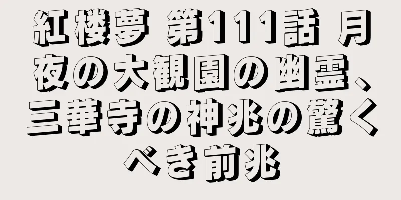 紅楼夢 第111話 月夜の大観園の幽霊、三華寺の神兆の驚くべき前兆