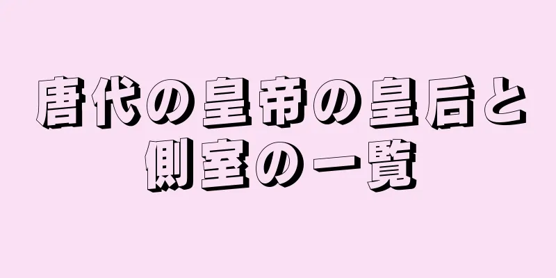 唐代の皇帝の皇后と側室の一覧