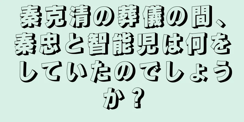 秦克清の葬儀の間、秦忠と智能児は何をしていたのでしょうか？