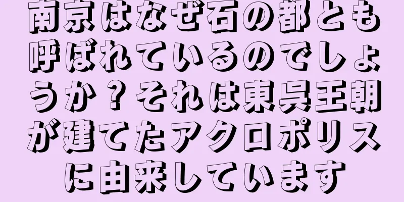 南京はなぜ石の都とも呼ばれているのでしょうか？それは東呉王朝が建てたアクロポリスに由来しています