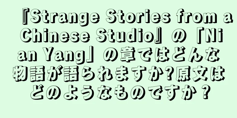 『Strange Stories from a Chinese Studio』の「Nian Yang」の章ではどんな物語が語られますか?原文はどのようなものですか？