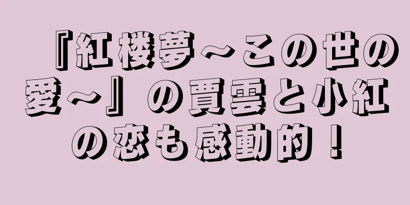 『紅楼夢～この世の愛～』の賈雲と小紅の恋も感動的！