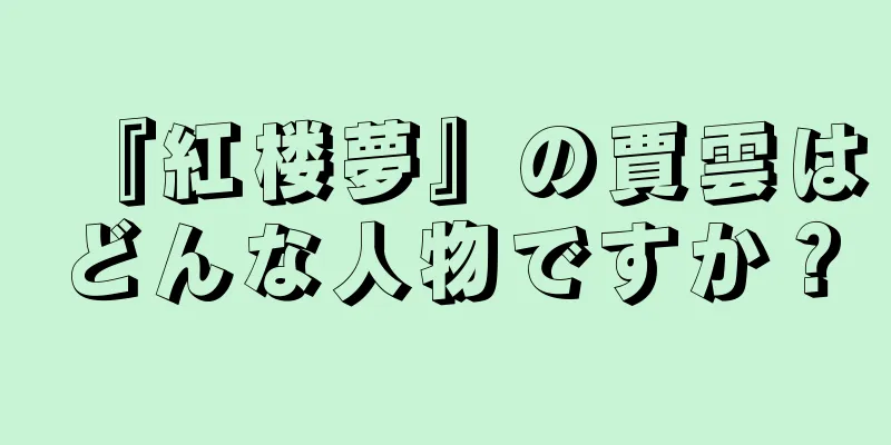 『紅楼夢』の賈雲はどんな人物ですか？