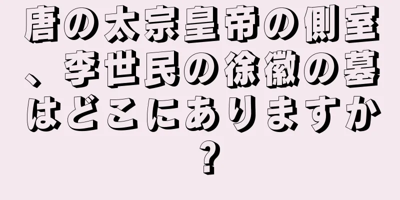 唐の太宗皇帝の側室、李世民の徐徽の墓はどこにありますか？