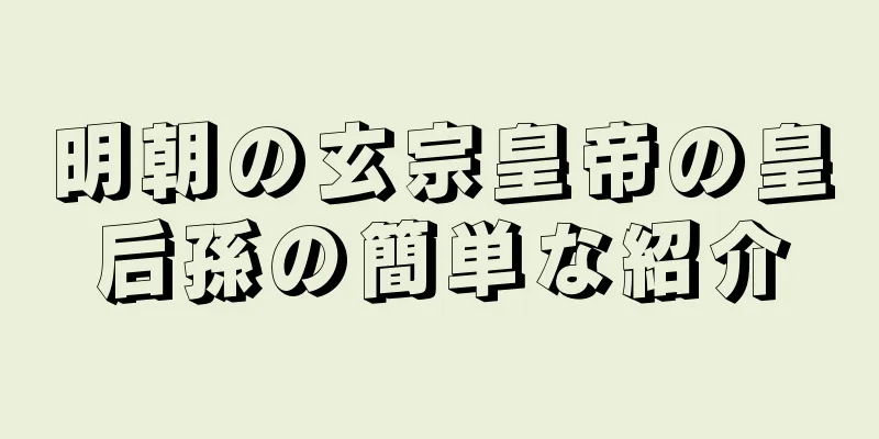 明朝の玄宗皇帝の皇后孫の簡単な紹介