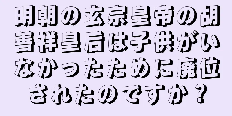 明朝の玄宗皇帝の胡善祥皇后は子供がいなかったために廃位されたのですか？