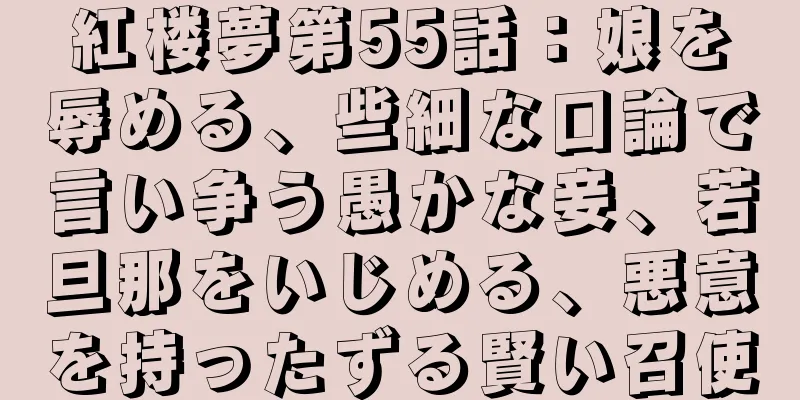 紅楼夢第55話：娘を辱める、些細な口論で言い争う愚かな妾、若旦那をいじめる、悪意を持ったずる賢い召使