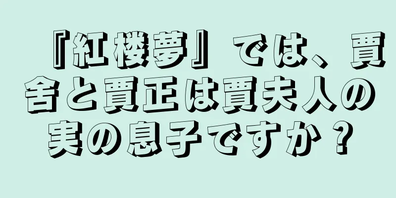 『紅楼夢』では、賈舍と賈正は賈夫人の実の息子ですか？