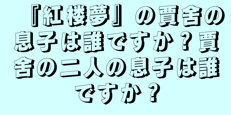 『紅楼夢』の賈舍の息子は誰ですか？賈舍の二人の息子は誰ですか？