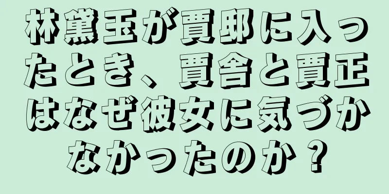 林黛玉が賈邸に入ったとき、賈舎と賈正はなぜ彼女に気づかなかったのか？