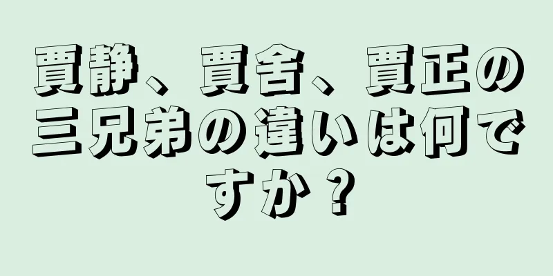 賈静、賈舍、賈正の三兄弟の違いは何ですか？