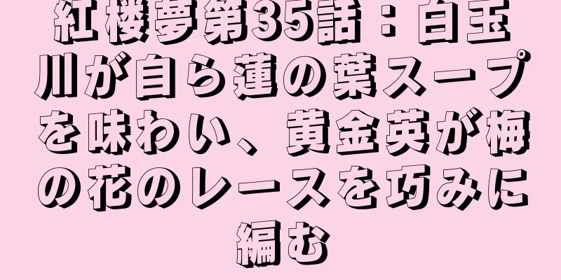 紅楼夢第35話：白玉川が自ら蓮の葉スープを味わい、黄金英が梅の花のレースを巧みに編む