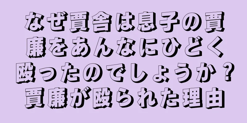 なぜ賈舎は息子の賈廉をあんなにひどく殴ったのでしょうか？賈廉が殴られた理由