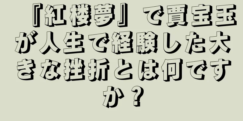 『紅楼夢』で賈宝玉が人生で経験した大きな挫折とは何ですか？