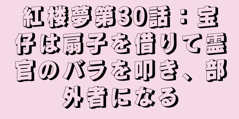 紅楼夢第30話：宝仔は扇子を借りて霊官のバラを叩き、部外者になる
