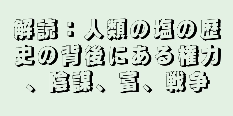 解読：人類の塩の歴史の背後にある権力、陰謀、富、戦争