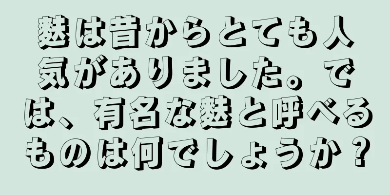 麩は昔からとても人気がありました。では、有名な麩と呼べるものは何でしょうか？