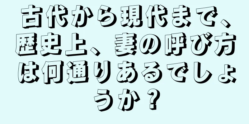 古代から現代まで、歴史上、妻の呼び方は何通りあるでしょうか？
