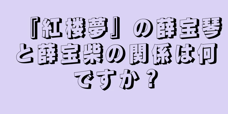 『紅楼夢』の薛宝琴と薛宝柴の関係は何ですか？