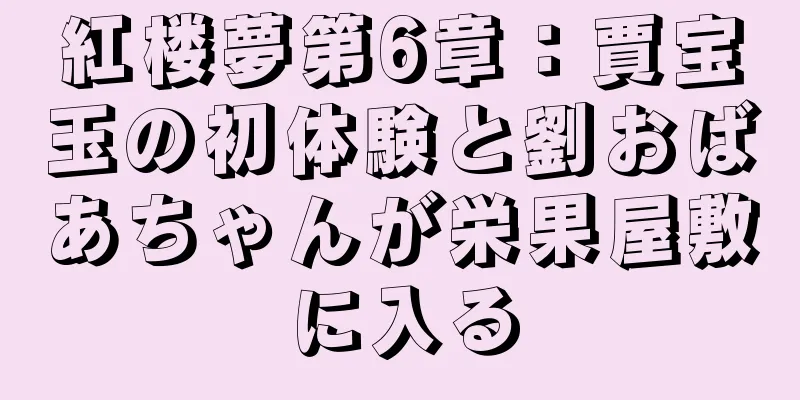 紅楼夢第6章：賈宝玉の初体験と劉おばあちゃんが栄果屋敷に入る