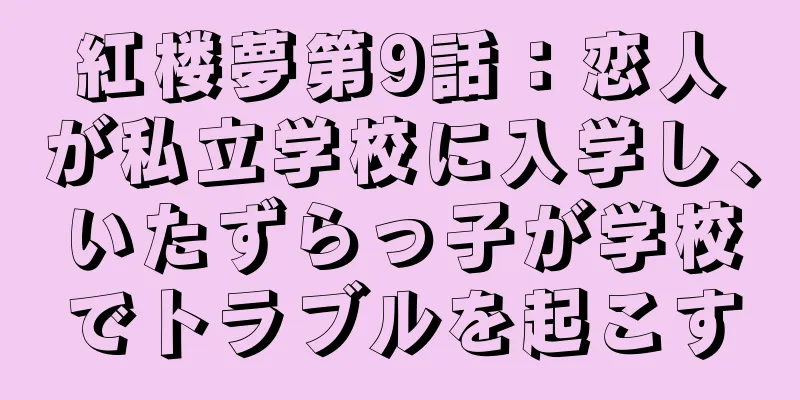 紅楼夢第9話：恋人が私立学校に入学し、いたずらっ子が学校でトラブルを起こす