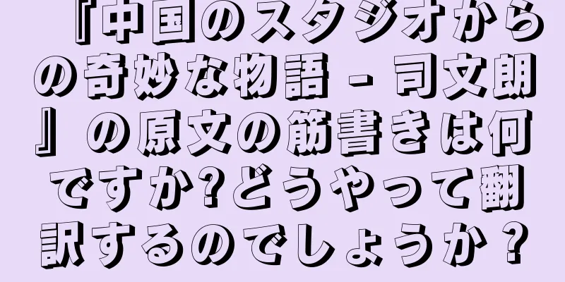 『中国のスタジオからの奇妙な物語 - 司文朗』の原文の筋書きは何ですか?どうやって翻訳するのでしょうか？