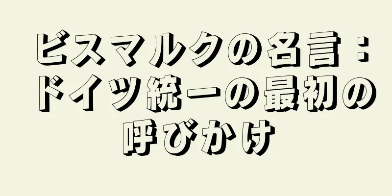 ビスマルクの名言：ドイツ統一の最初の呼びかけ
