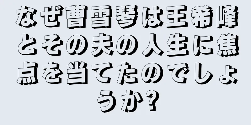 なぜ曹雪琴は王希峰とその夫の人生に焦点を当てたのでしょうか?