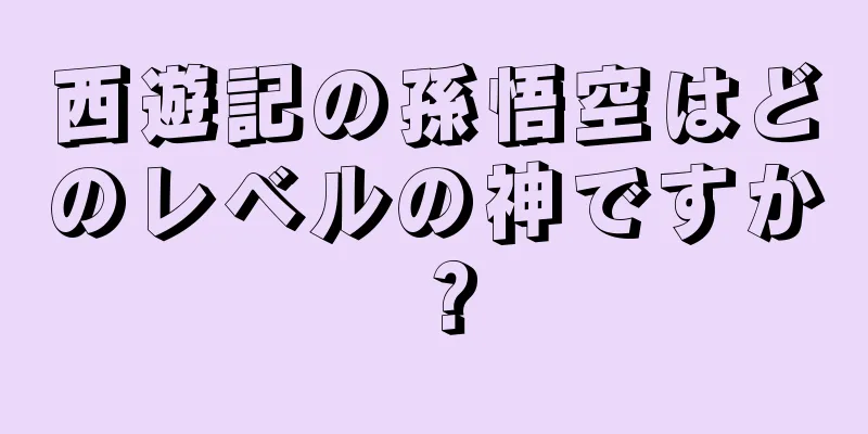 西遊記の孫悟空はどのレベルの神ですか？
