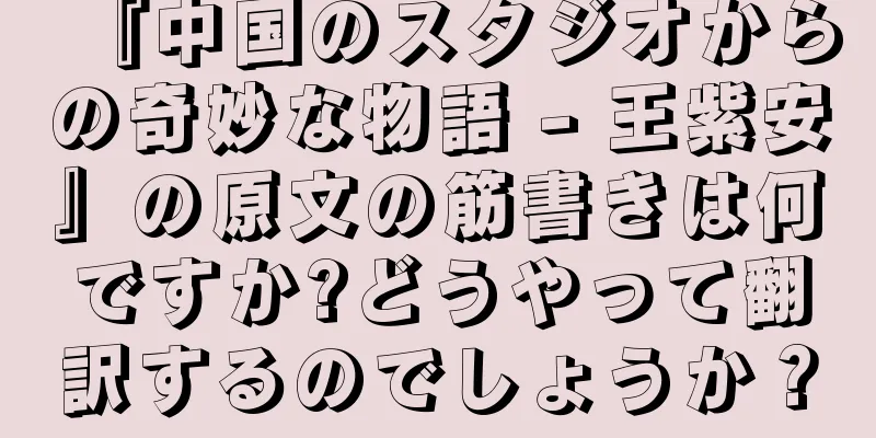 『中国のスタジオからの奇妙な物語 - 王紫安』の原文の筋書きは何ですか?どうやって翻訳するのでしょうか？
