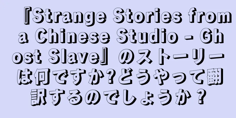 『Strange Stories from a Chinese Studio - Ghost Slave』のストーリーは何ですか?どうやって翻訳するのでしょうか？