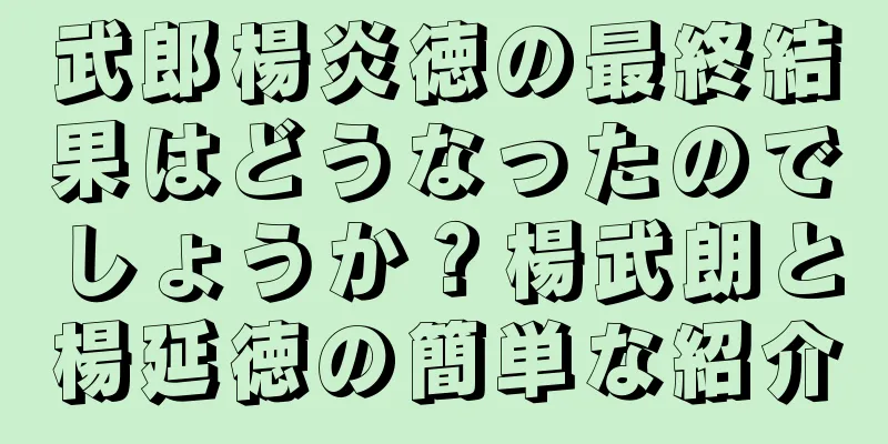 武郎楊炎徳の最終結果はどうなったのでしょうか？楊武朗と楊延徳の簡単な紹介