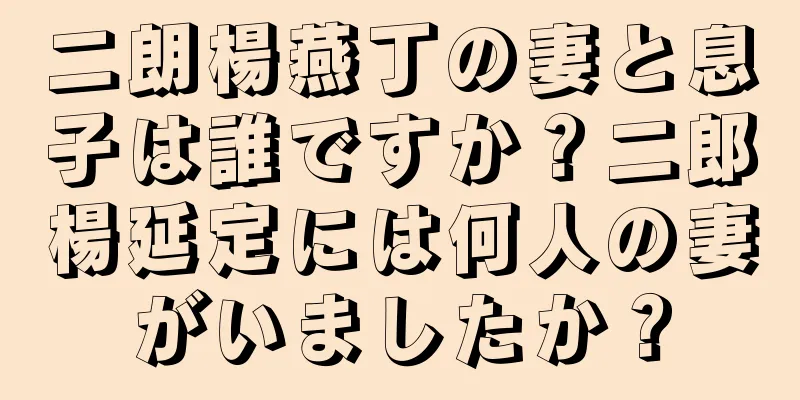 二朗楊燕丁の妻と息子は誰ですか？二郎楊延定には何人の妻がいましたか？