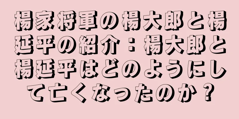 楊家将軍の楊大郎と楊延平の紹介：楊大郎と楊延平はどのようにして亡くなったのか？