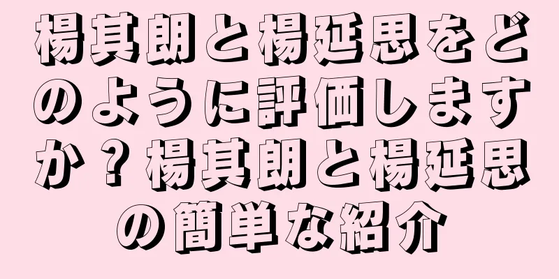 楊其朗と楊延思をどのように評価しますか？楊其朗と楊延思の簡単な紹介