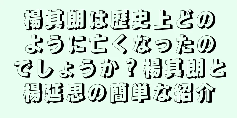 楊其朗は歴史上どのように亡くなったのでしょうか？楊其朗と楊延思の簡単な紹介