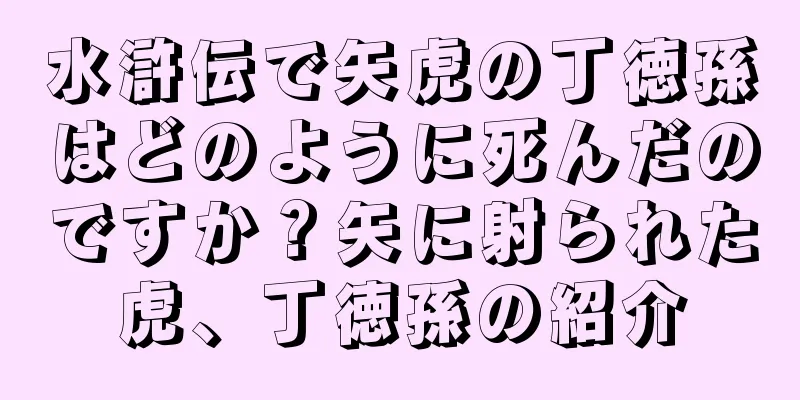 水滸伝で矢虎の丁徳孫はどのように死んだのですか？矢に射られた虎、丁徳孫の紹介