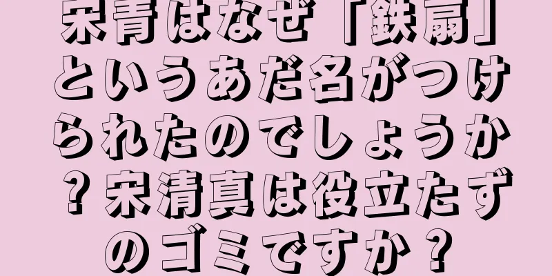 宋青はなぜ「鉄扇」というあだ名がつけられたのでしょうか？宋清真は役立たずのゴミですか？