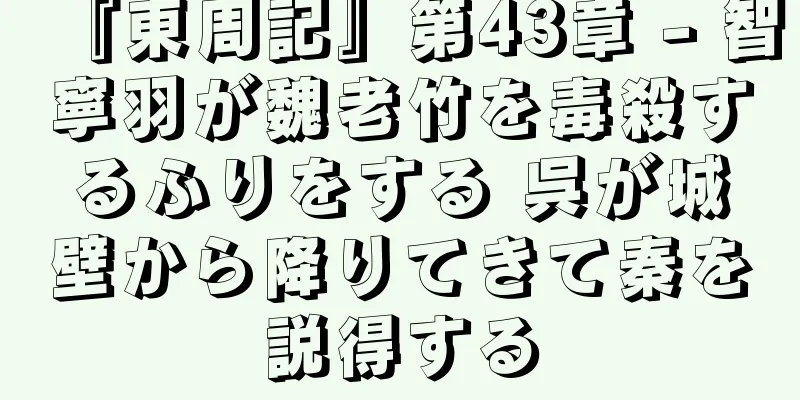 『東周記』第43章 - 智寧羽が魏老竹を毒殺するふりをする 呉が城壁から降りてきて秦を説得する