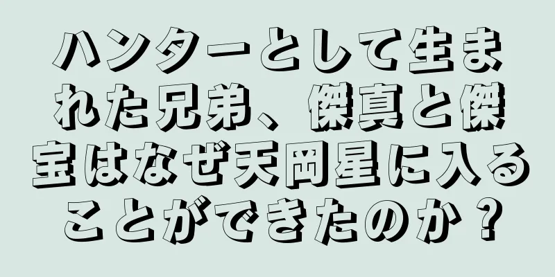 ハンターとして生まれた兄弟、傑真と傑宝はなぜ天岡星に入ることができたのか？