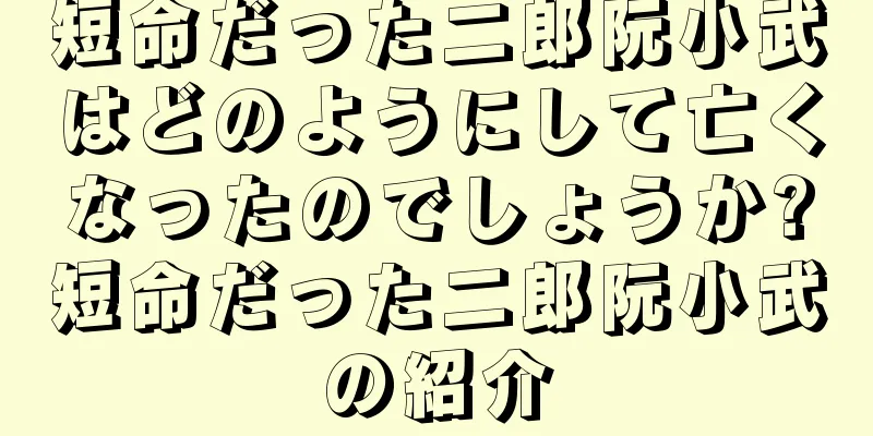 短命だった二郎阮小武はどのようにして亡くなったのでしょうか?短命だった二郎阮小武の紹介