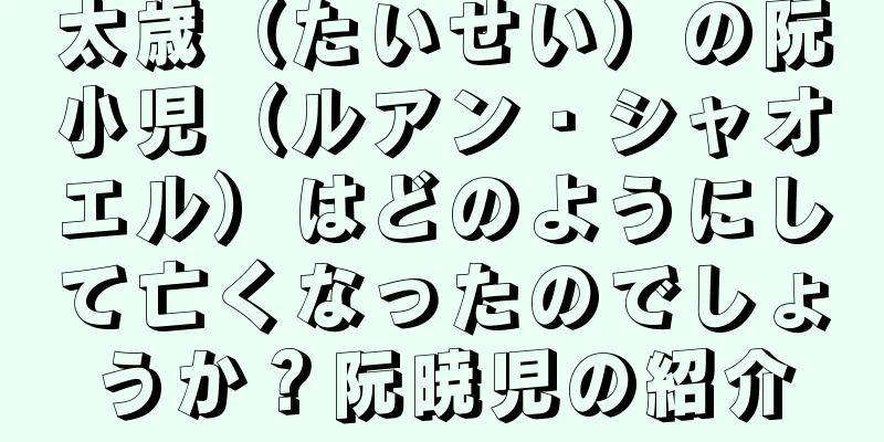 太歳（たいせい）の阮小児（ルアン・シャオエル）はどのようにして亡くなったのでしょうか？阮暁児の紹介