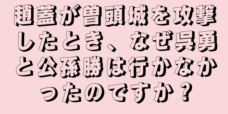 趙蓋が曽頭城を攻撃したとき、なぜ呉勇と公孫勝は行かなかったのですか？