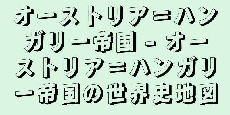 オーストリア＝ハンガリー帝国 - オーストリア＝ハンガリー帝国の世界史地図