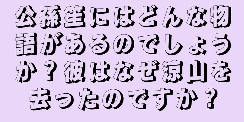 公孫笙にはどんな物語があるのでしょうか？彼はなぜ涼山を去ったのですか？