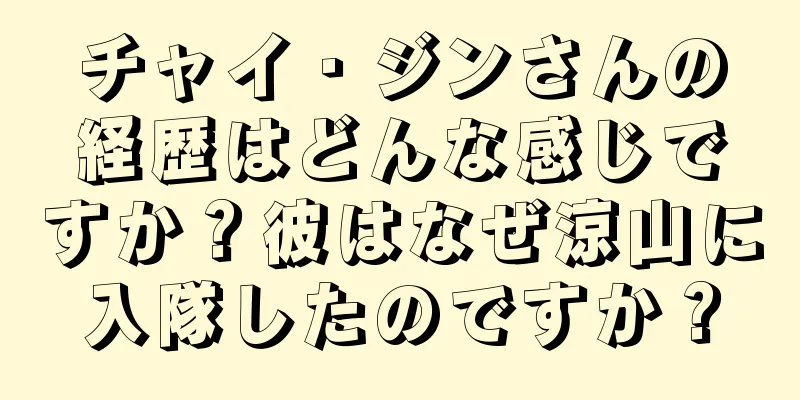 チャイ・ジンさんの経歴はどんな感じですか？彼はなぜ涼山に入隊したのですか？