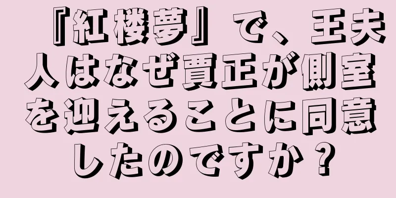 『紅楼夢』で、王夫人はなぜ賈正が側室を迎えることに同意したのですか？
