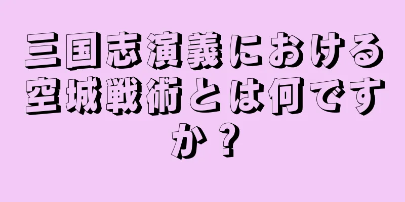 三国志演義における空城戦術とは何ですか？