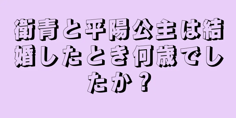 衛青と平陽公主は結婚したとき何歳でしたか？