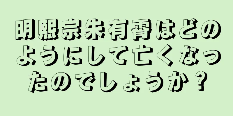 明熙宗朱有霄はどのようにして亡くなったのでしょうか？